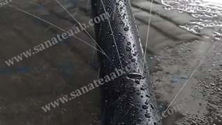 پاشش لوله بارانی