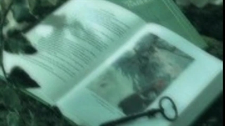 اگه تایپ شخصیتتون وایب بود. تو کامنتا بگید تایپتون چیه