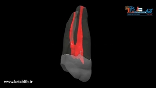 نمونه کیفیت ویدیوهای کتاب مسیرهای پالپ کوهن ویرایش دوازدهم - 2021