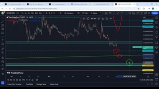 فوری : قیمت همستر لو رفت | بمب خبری بیبی دوج| اخبار داغ ربات های کلیکی