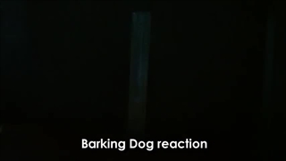 واکنش های شیمیایی عجیب !! (اسید بازار)