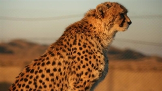 چگونه باید از پارک ملی توران محافظت کنیم؟