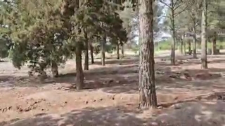 14030410: جلیلی پزشکیان دوئلی در دوگانه شهوت و معیشت !