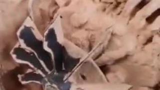 به موقع سرویس نشدن پمپ