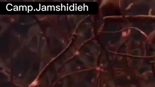 کوکائین با مغز چه میکند