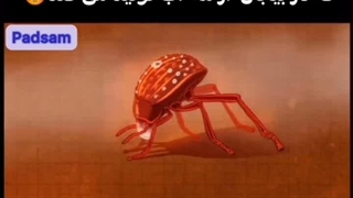 شرکت سمپاشی در تهران 09129346548