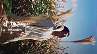 مجموعه ای فعالیت های سولو بی تی اس