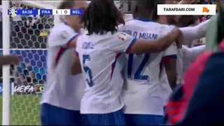 گل به خودی یان فرتونگن مقابل فرانسه (فرانسه 1-0 بلژیک)