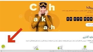 چت با پشتیبانی سایت آلپاری