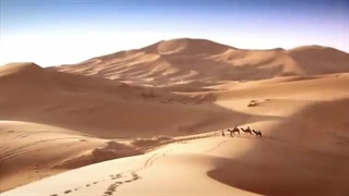 Has Modern Archaeology Changed The History Of Islam? | The Sacred City | Parable