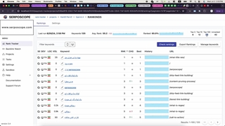 بررسی پشرفته ابزار Serposcope برای Keywords Tracking