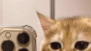 سه‌تا‌چیز‌که‌من‌تا‌حالا‌تو‌زندگیم‌ندیدم^_^/حرف‌بزنیم؟✰