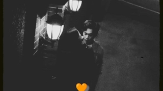 میکس عاشقانه سریال پانزده سال انتظار برای پرندگان مهاجر با بازی ژانگ رویون