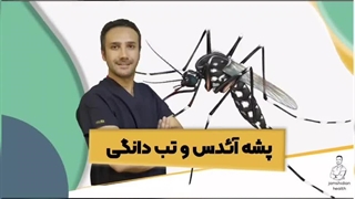 پشه آئدس و تب دانگی  | جمشیدیان هلث