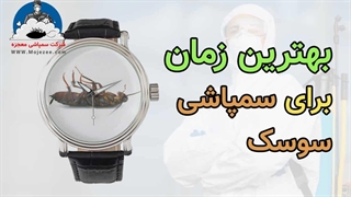 بهترین زمان برای سمپاشی سوسک-mojezee.com