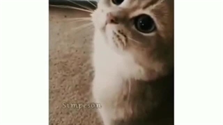 ☆حرف ناشناس☆