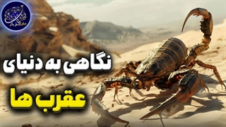 نگاهی به دنیای عقرب ها