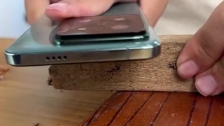 تست مقاومت شیائومی 14 پرو با گردو و چکش و میخ