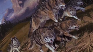 گرگ وحشت، وحشی ترین و کشنده ترین سگ سان منقرض شده