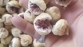 انجیر پرک درجه 1 انجیرتک