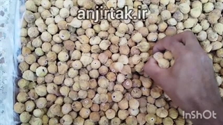 انجیر سایز آ معمولی گوشتی انجیر تک