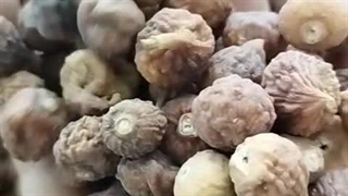 انجیر مربایی مخصوص شیره و مربا و فراوری سایت انجیر تک