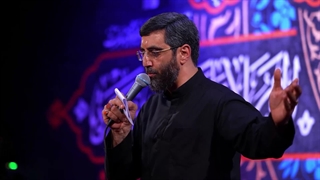 کربلا غربت بی حساب بود - سیدرضا نریمانی