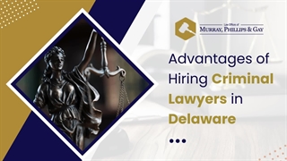 Expert Criminal Defense Lawyer for Your Legal Needs