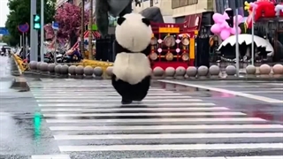 یک عدد حوصله گمشده داریم به شدت شیطون  اگه دیدیننش بهم بگین