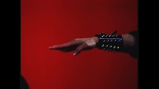 فرم ببر و درنا سبک هونگ گار