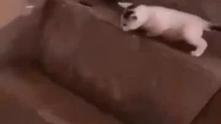 رفیقممممممممممم:]]