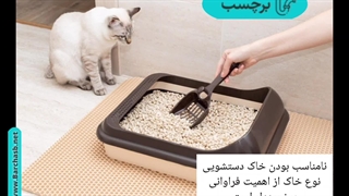 4دلیل رایج دستشویی کردن گربه خارج از خاک