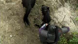 سریال امپراطور افسانه ها/جومونگ 4/با دوبله فارسی قسمت/3