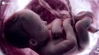 مرثیه ای برای جاهلیت مدرن