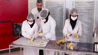 خشک کردن موز و پرتقال با دستگاه خشک کن صنعتی اسوه 09138900047