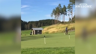 تفریحات مختلف