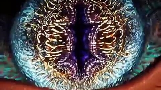 ادیت از ⚔️swallowed star⚔️