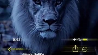 فیلم رایگان