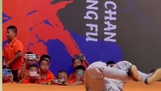 هنر رزمی . کونگ فو شائولین