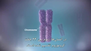 از دی‌ان‌ای تا پروتئین