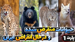حیوانات منقرض شده و در حال انقراض حیات وحش ایران