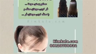 کاسنی بهترین محلول برای ازبین بردن موخوره و آسیب دیدگی های مو