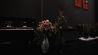 افتتاحیه گالری رویال پیانو تخصصی ترین مجموعه پیانو