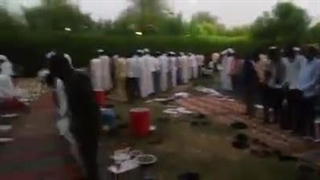 اهل سنت معاویه