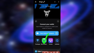 خرید رفرال داگز