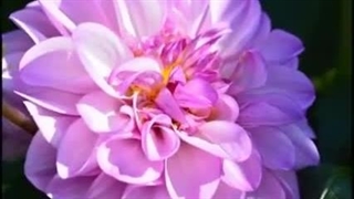 از محسن اشرفی اهنگ منتظرت بودم