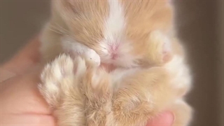 دلم برا بچه ناز کوچولوم که انقدر خوشگل ک زبونم بند میومد از کیوتیش تنگ شد