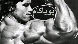 مستند آرنولد - 1