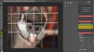 اکشن های حرفه ای فتوشاپ