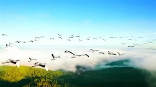 نامه ای از طرف خدا